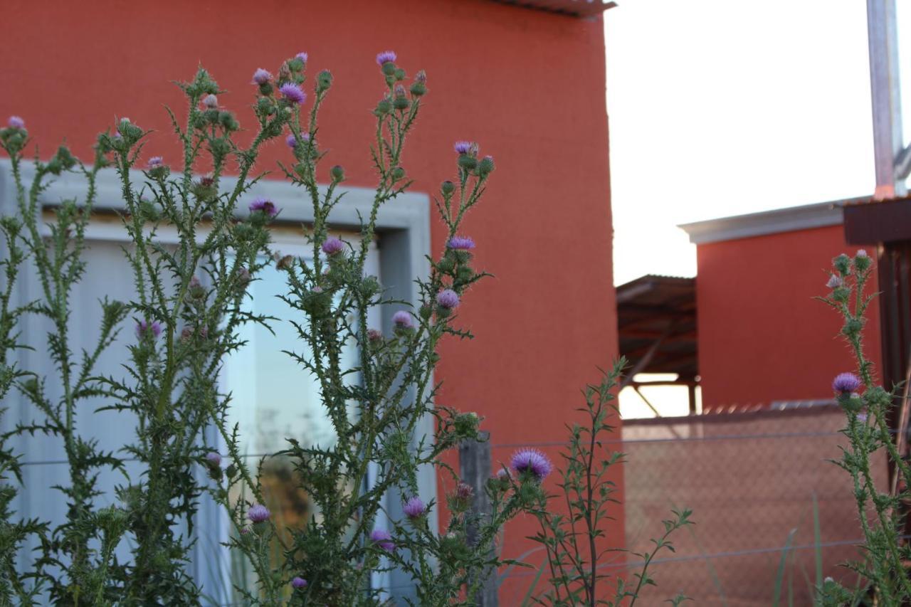 La Narcisa Vila Pehuajo Exterior foto